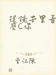 从镜子里看我怎么C你