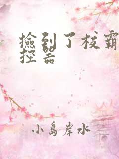 捡到了校霸的遥控器