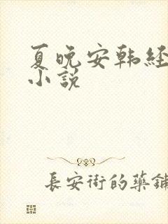 夏晚安韩经年的小说