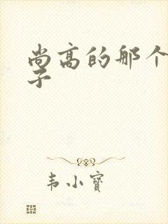 尚高的那个臭小子