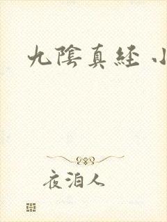 九阴真经 小说
