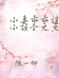 小妻乖乖让我宠小说全文免费阅读