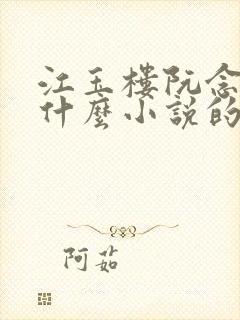 江玉楼阮念笙是什么小说的名字