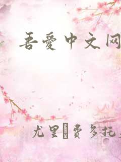 吾爱中文网