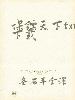 保镖天下txt下载