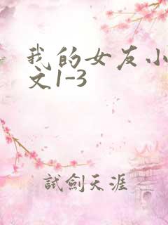 我的女友小洁全文1-3
