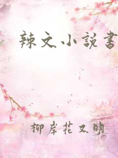 辣文小说书包网