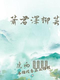 萧君泽柳芸小说