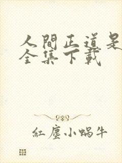 人间正道是沧桑全集下载