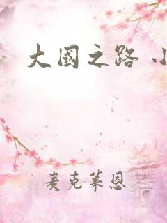 大国之路 小说