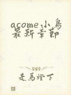 acome小鸟最新章节