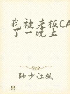 我被老板CAO了一晚上