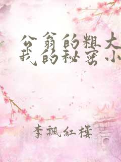 公翁的粗大放进我的秘密小说