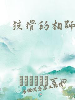 狡猾的相师