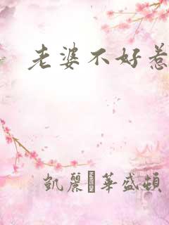 老婆不好惹