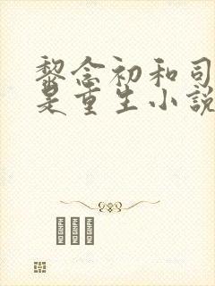 黎念初和司慕城是重生小说