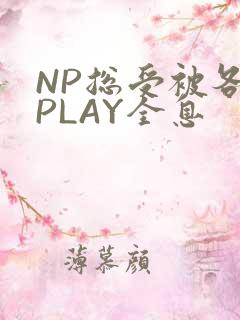 NP总受被各种PLAY全息