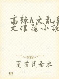 高辣h文乱乳h文浪荡小说txt