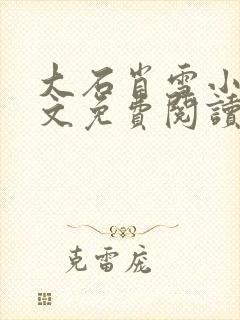 大石肖雪小说全文免费阅读