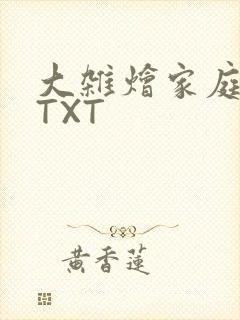 大杂烩家庭小说TXT