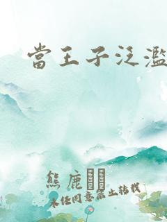 当王子泛滥之时