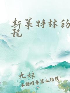 斯莱特林的铂金龙