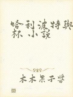 哈利波特与火焰杯 小说