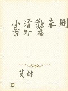 小清欢未删减版番外篇