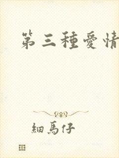 第三种爱情番外