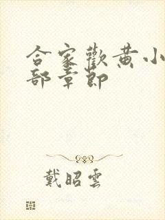 合家欢黄小梅全部章节