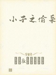 小子之偷采双圣