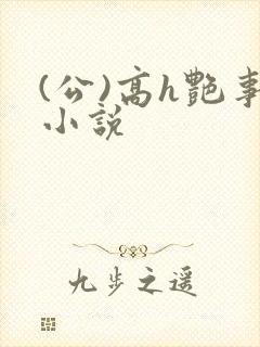 (公)高h艳事小说