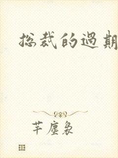 总裁的过期情人