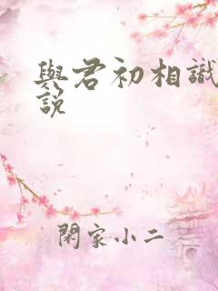 与君初相识 小说