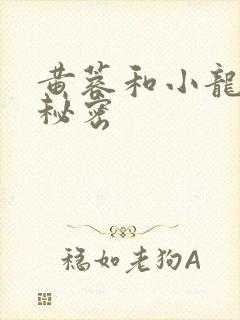 黄蓉和小龙女的秘密