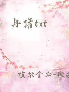 丹修txt