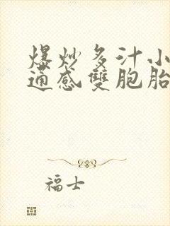 爆炒多汁小美人通感双胞胎燎锋