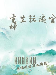 重生玩遍官场贵妇