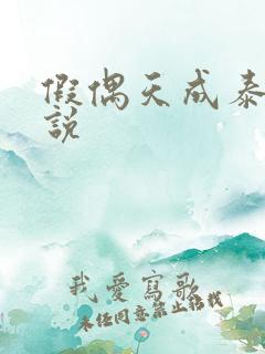 假偶天成泰国小说