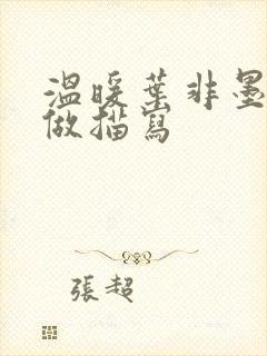 温暖叶非墨车内做描写