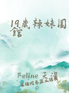 19岁辣妹图书馆