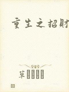 重生之招财进宝
