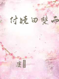 付晓田双面间谍