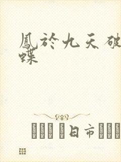 凤于九天破茧成蝶