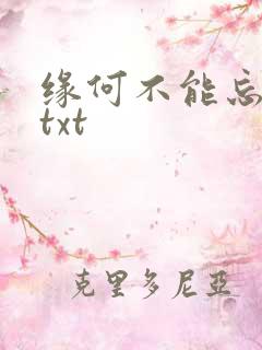 缘何不能忘记你txt