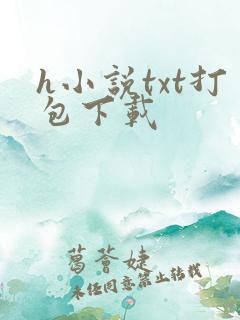 h小说txt打包下载