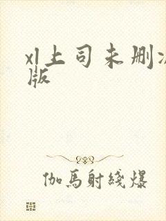 xl上司未删减版