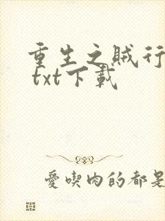 重生之贼行天下 txt下载