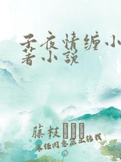 子夜情缠小说原著小说
