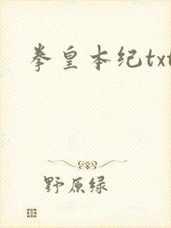 拳皇本纪txt